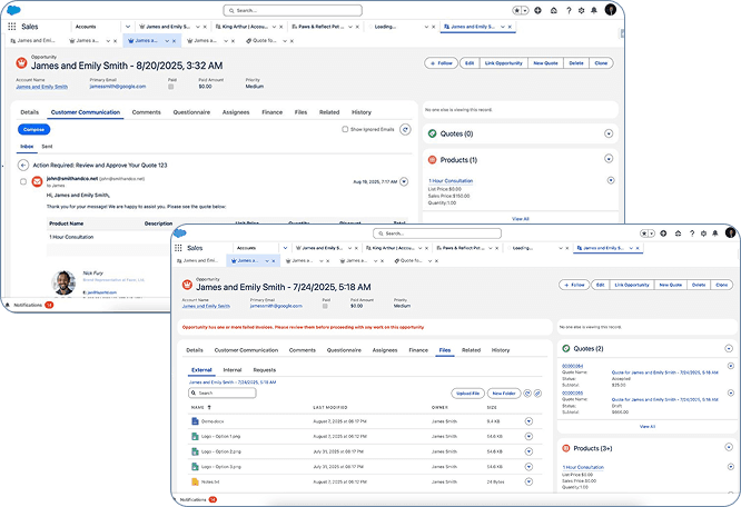 End-to-End Salesforce Delivery screenshot